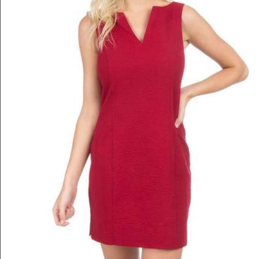 🎃Avery Lauren James Dress🎃